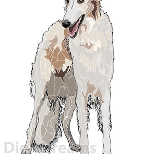 D004: Russian wolfhound (Borzoi)