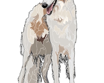 D004: Russian wolfhound (Borzoi)