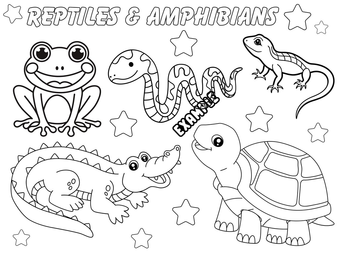 Reptiles, Amphibians, Coloring Page, Digital, Download, Preschool, Pre ...