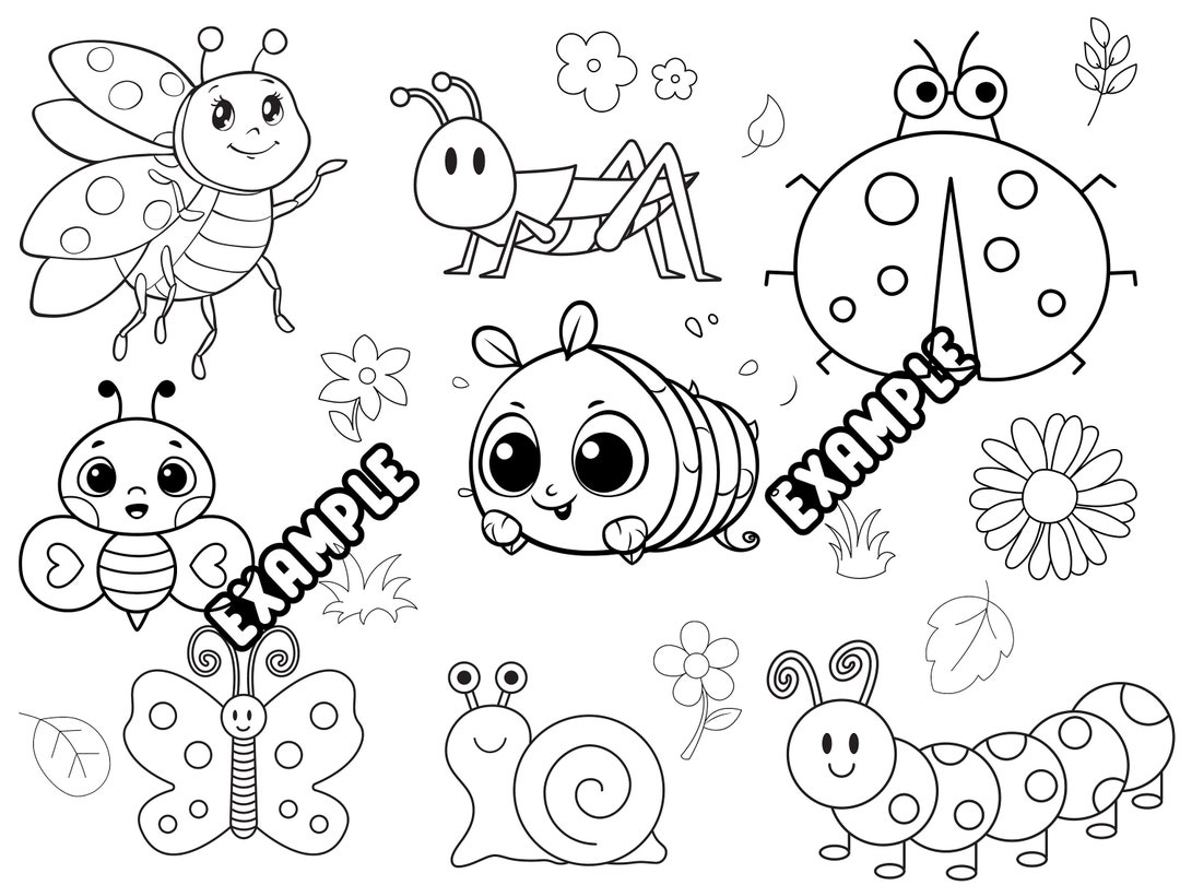 Bug, Coloring Sheet, Bug Coloring Sheet, Preschool, Bugs, Spring