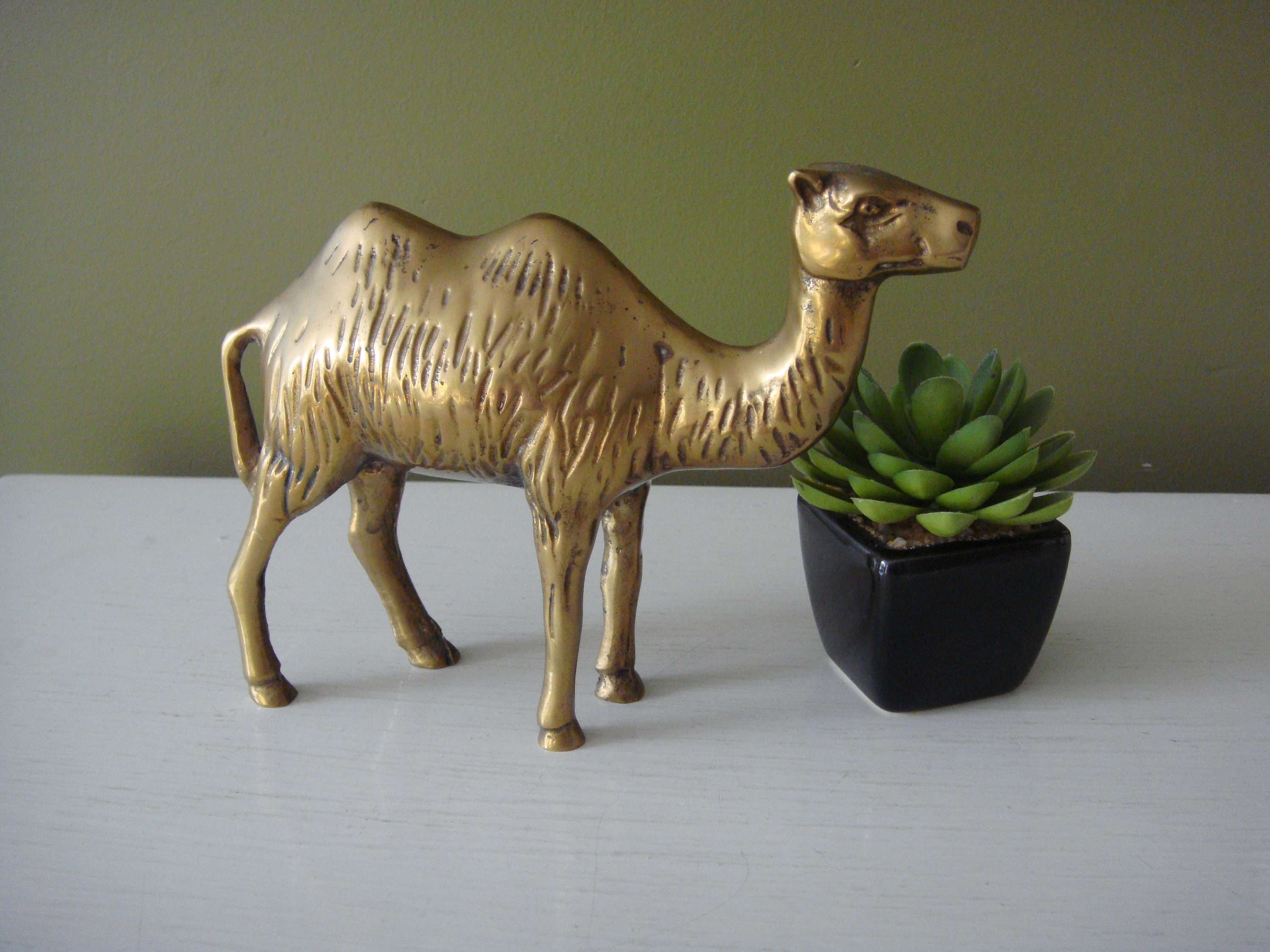 Brass Egypt Camel -  Canada