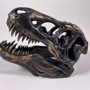 T-Rex Skull