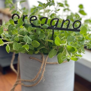 Small Herb Stakes