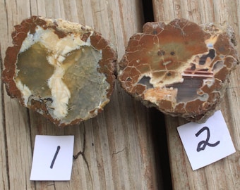 Small Oregon Geode Halves Polished