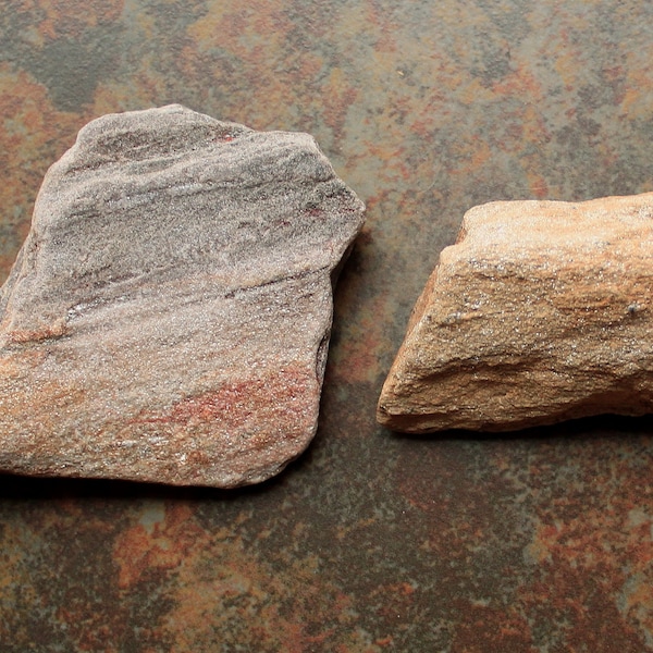 Small Petrified Wood Pieces with Mica