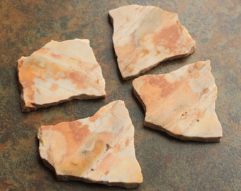 Bambi Jasper Slabs from Arizona