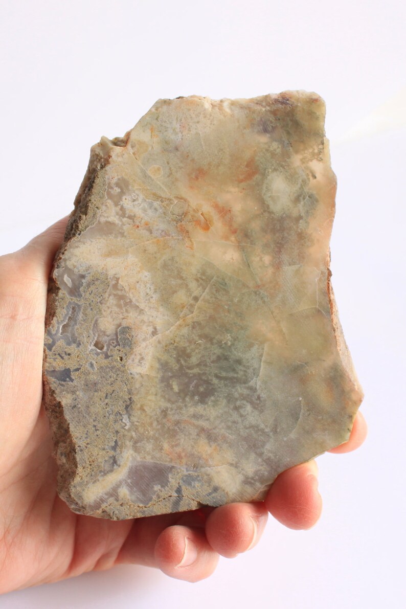 fossilized dung