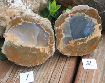 Polished Geode or Thunderegg Halves from Oregon