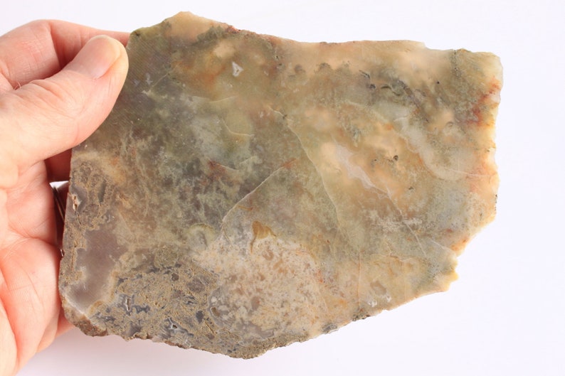 fossilized dung
