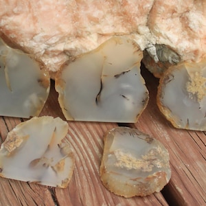 May include: A collection of polished agate slices with a translucent, milky-white interior and tan and brown edges. The stones are displayed on a weathered wooden surface, with a large, rough rock in the background.