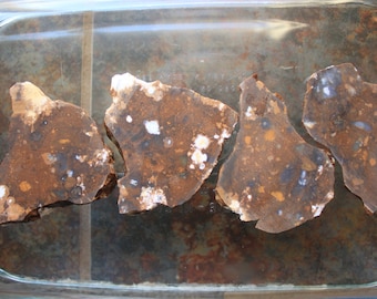 Wild Horse Jasper Slabs