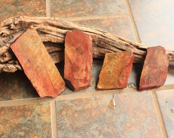 Mostly Red Picture Jasper Lapidary Slabs with Black Dendrites