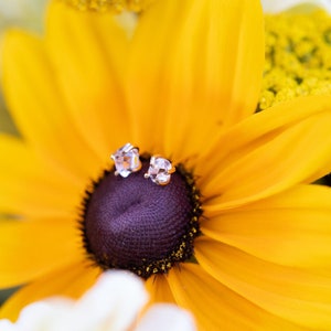 Herkimer Diamond Stud Earrings: Sterling Silver, Gold, Rose Gold