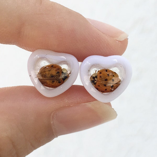 00g Ladybug Heart Ear Plugs Gauges Pair 10mm, Insect Plugs, Real Bugs Entomology Taxidermy Body Jewelry, Creepy Cute:LOVED EARS by {118}