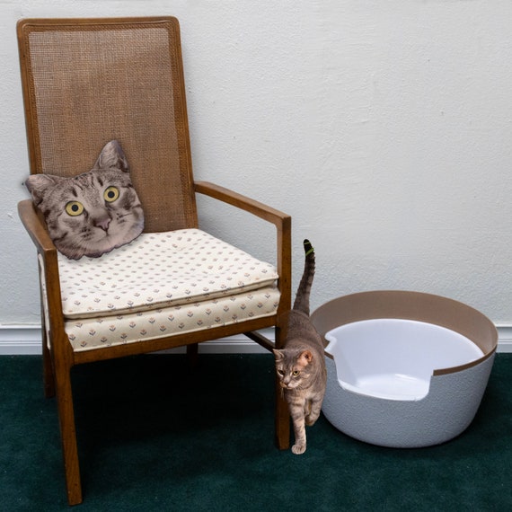 Elegant Hand-textured Tuscany Hidden Litter Box Misty Gray Terracotta  Finish: Perfect for Stylish Pet Owners 