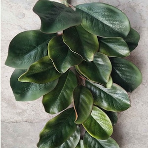 26” Magnolia Leaf Eva Teardrop Swag w / 21 Leaves