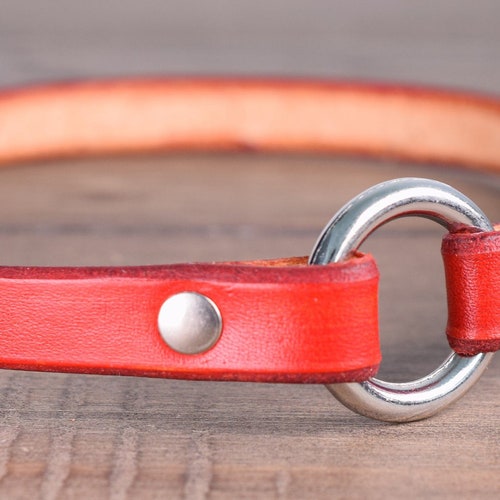 Leather Tag Collar Greyhound Tag Collars Whippet House Etsy