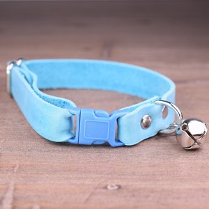 May include: A light blue cat collar with a blue plastic buckle and a silver bell.