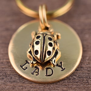 May include: Gold-toned pet ID tag with a ladybug charm and the word "LADY" engraved on the front.