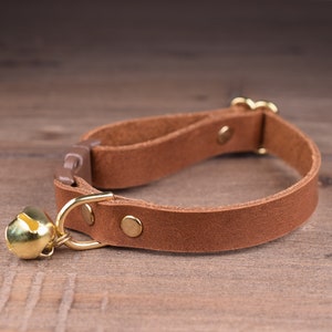 May include: A brown leather cat collar with a gold bell. The collar has a buckle closure and is adjustable.