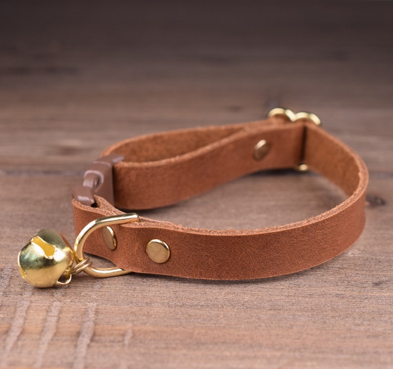 May include: A brown leather cat collar with a gold bell. The collar has a buckle closure and is adjustable.
