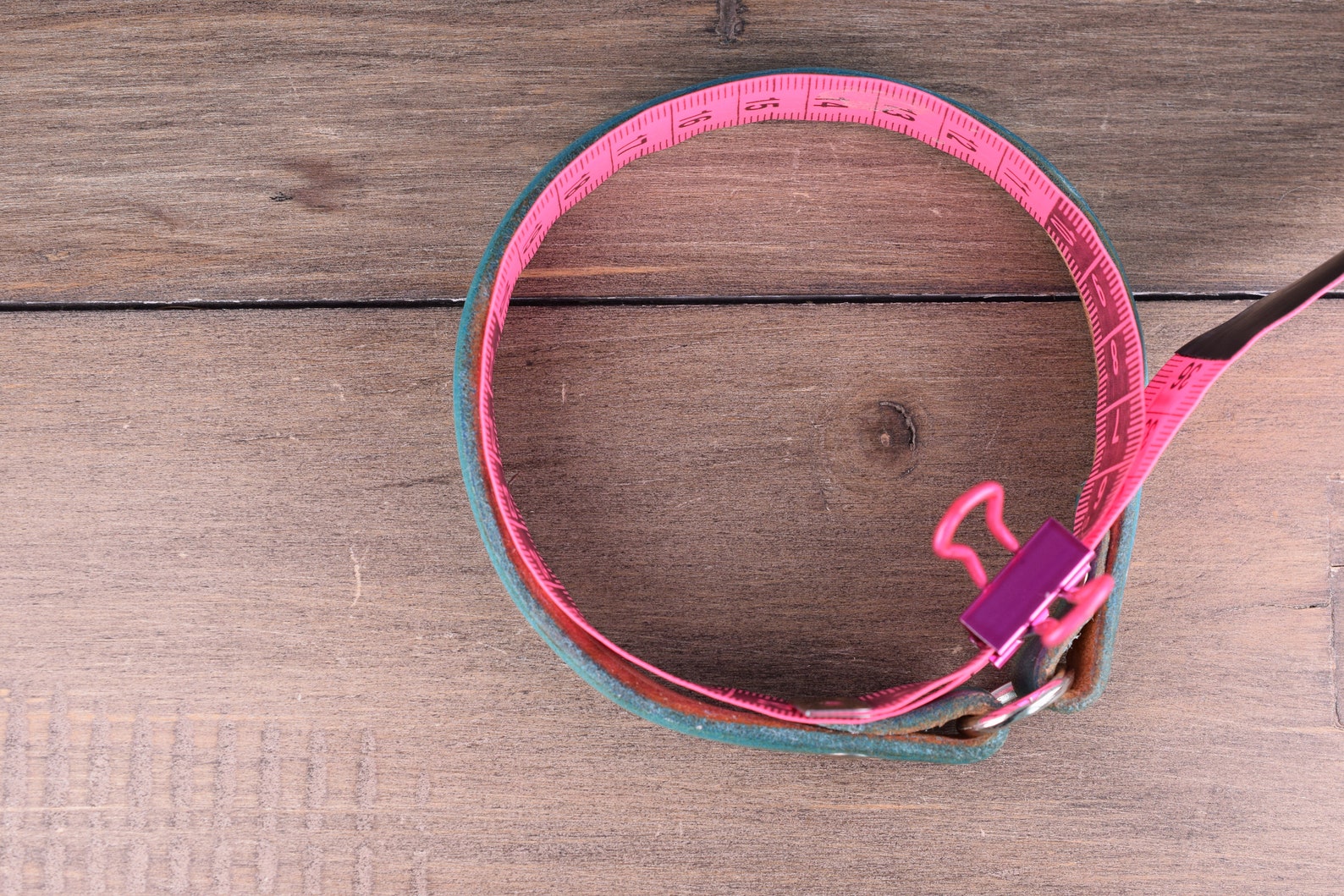 Tag Collar Leather Dog Tag Collars Greyhound Tag Collar Etsy