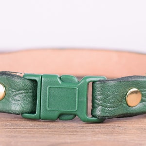 May include: Green leather dog collar with a woven pattern. It has a green plastic buckle, gold-coloured rivets, and a gold-coloured D-ring. The inside of the collar is light tan.
