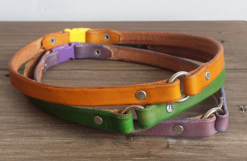 Breakaway Leather Dog Tag Collar Greyhound Tag Collar Etsy