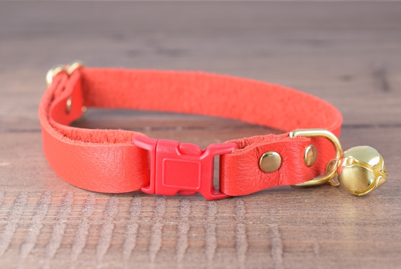 May include: A bright red leather cat collar with a red plastic buckle and a gold bell.