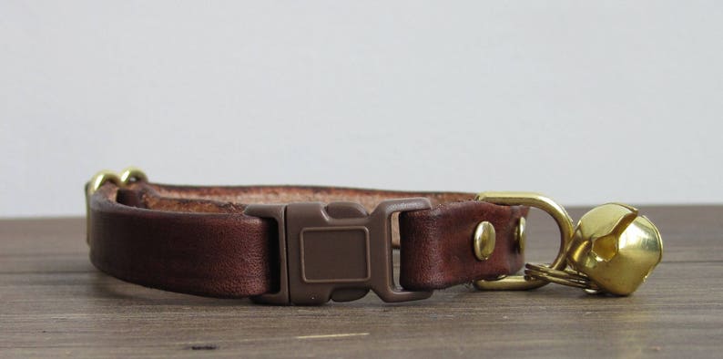 May include: A brown leather cat collar with a brown plastic buckle and a gold bell.