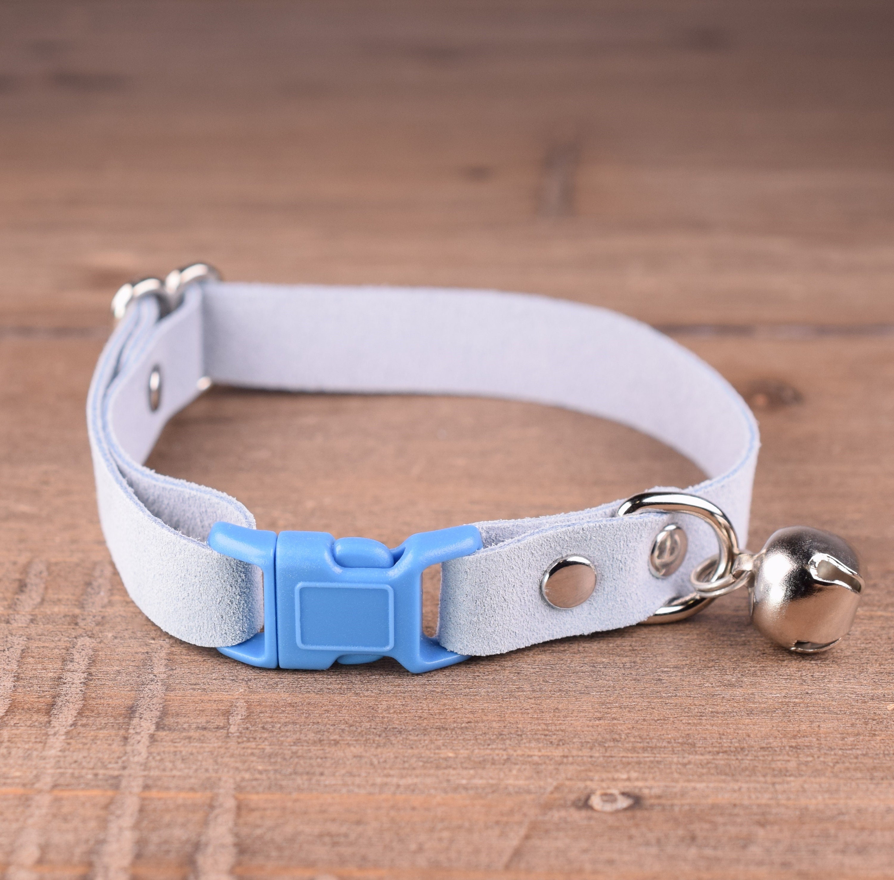 light blue kitten collar