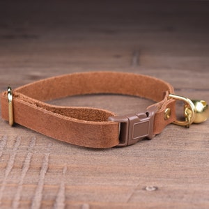 May include: A brown leather cat collar with a brown plastic buckle and a gold bell.