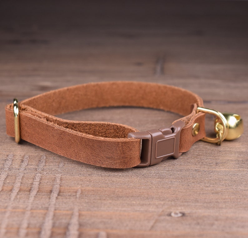 May include: A brown leather cat collar with a brown plastic buckle and a gold bell.