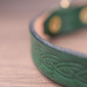 May include: Close-up of a green leather collar with a Celtic knot design. The collar has gold-coloured rivets and a light brown interior. The leather has a textured appearance, and the design is embossed.