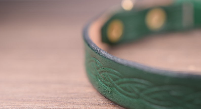 May include: Close-up of a green leather collar with a Celtic knot design. The collar has gold-coloured rivets and a light brown interior. The leather has a textured appearance, and the design is embossed.