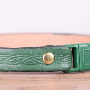 May include: Green leather dog collar with a braided pattern. It has a gold-coloured metal D-ring and a green plastic buckle. A gold-coloured metal stud secures the leather. The inside of the collar is light tan.