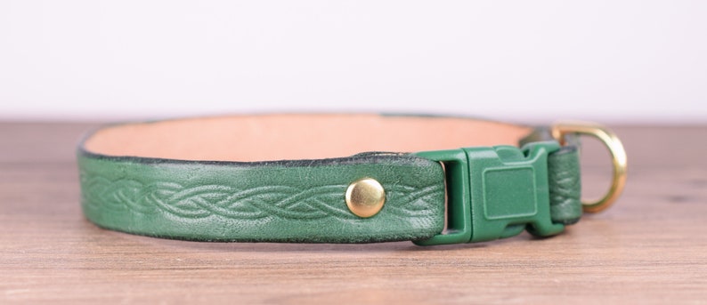 May include: Green leather dog collar with a braided pattern. It has a gold-coloured metal D-ring and a green plastic buckle. A gold-coloured metal stud secures the leather. The inside of the collar is light tan.