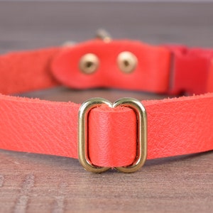 May include: A bright orange leather dog collar with a gold metal buckle and two gold metal rivets.