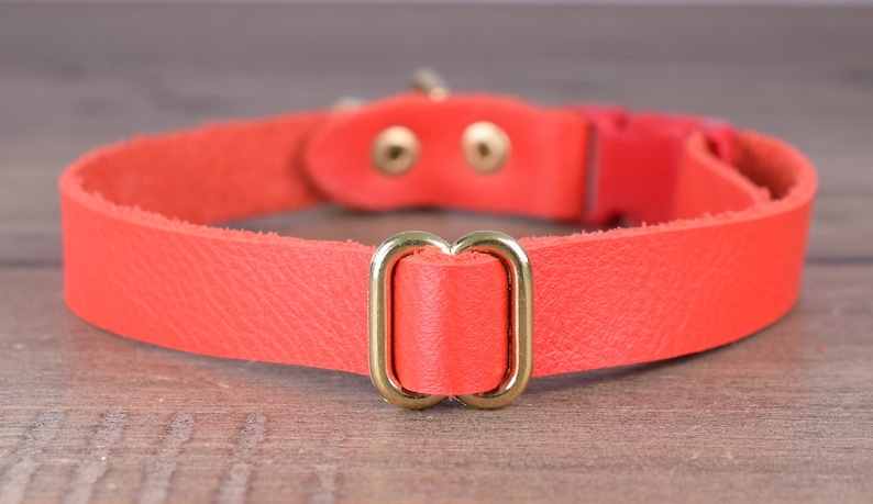 May include: A bright orange leather dog collar with a gold metal buckle and two gold metal rivets.
