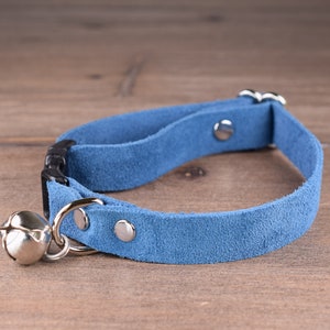 May include: A blue suede cat collar with a silver bell and a black plastic buckle.
