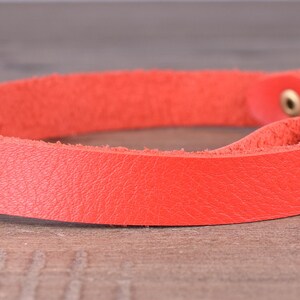 May include: A bright orange leather cat collar with a gold buckle and a small bell.