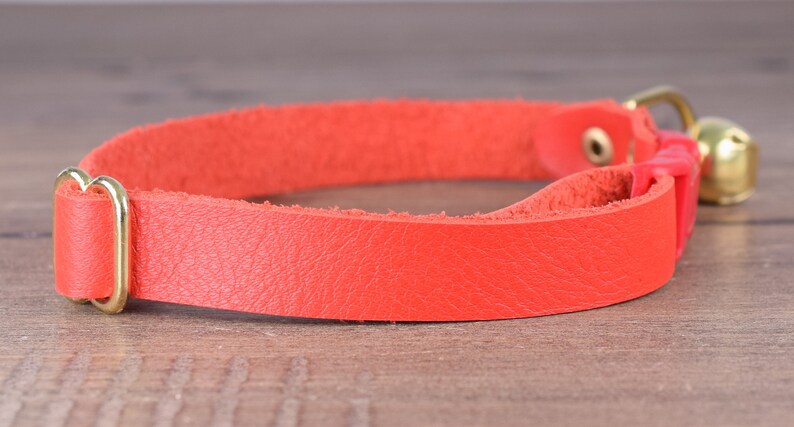 May include: A bright orange leather cat collar with a gold buckle and a small bell.