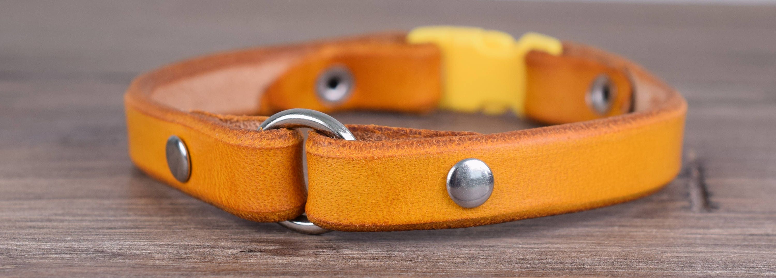 Breakaway Tag Collar Yellow Greyhound Tag Collar Whippet Etsy