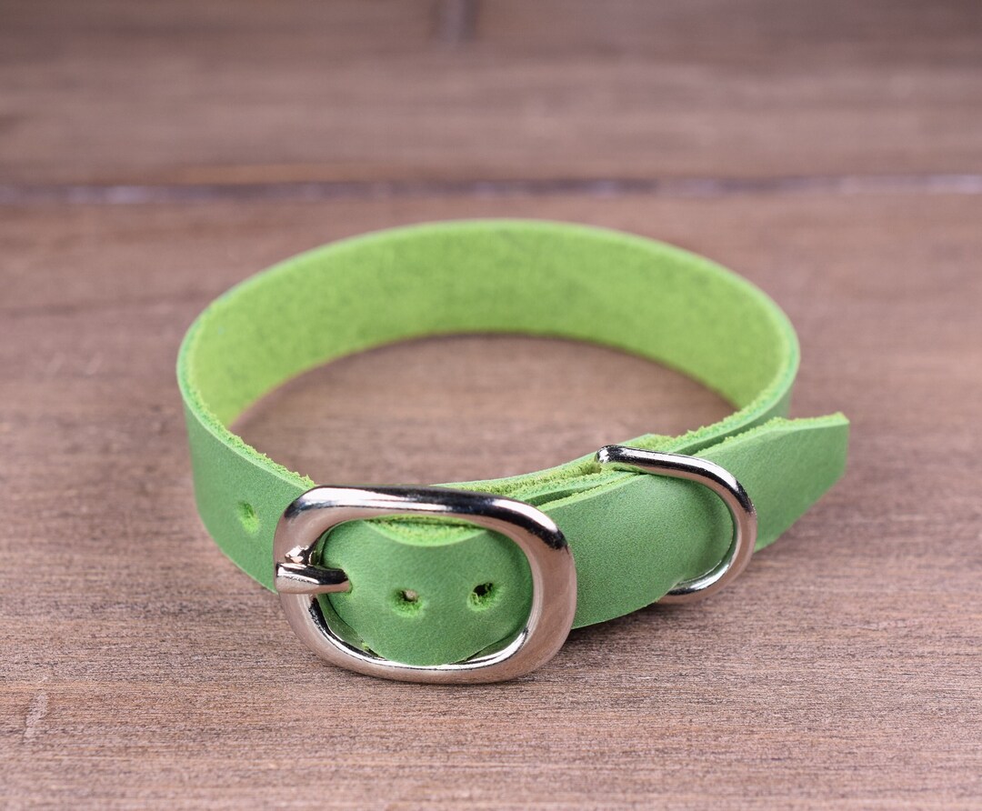 Tiny Dog Collar Green Leather Dog Collar for Mini Dogs Etsy Canada