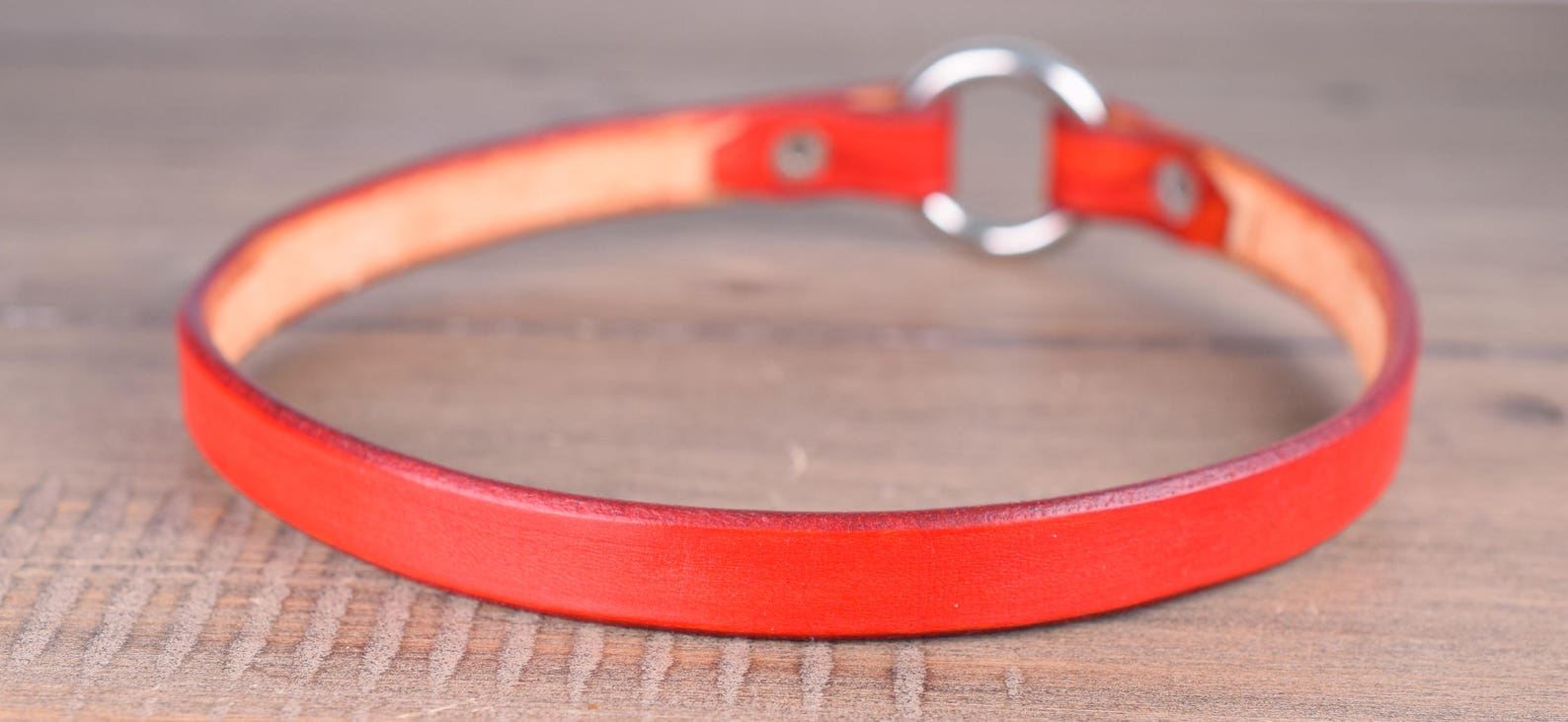 Leather Tag Collar Greyhound Tag Collars Whippet House Etsy