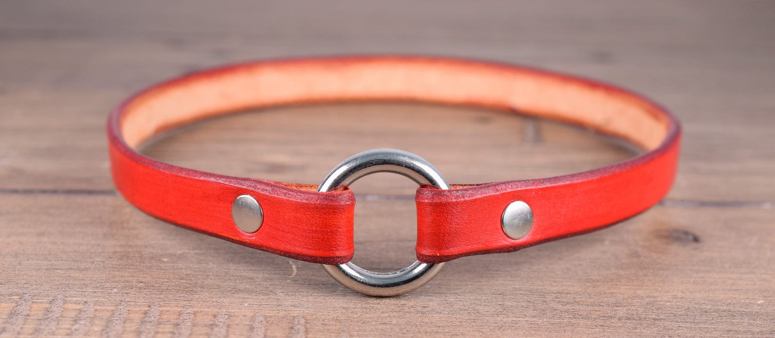 Leather Tag Collar Greyhound Tag Collars Whippet House Etsy