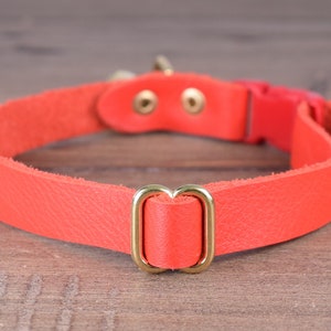 May include: A bright orange leather dog collar with a gold metal buckle and two gold metal rings.
