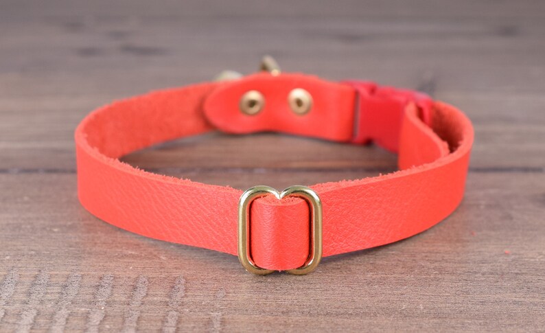 May include: A bright orange leather dog collar with a gold metal buckle and two gold metal rings.