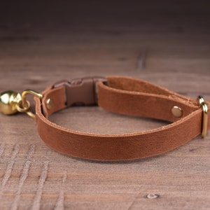 May include: A brown leather cat collar with a gold bell and a buckle closure.