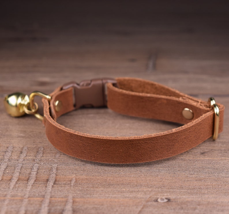 May include: A brown leather cat collar with a gold bell and a buckle closure.